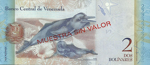 Piece bbcv2bsf-aa05s (Reverse)