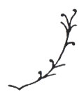 Branch Type 2