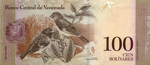 Diseño A, Tipo A. Fecha Febrero 03 2011. Serie J8