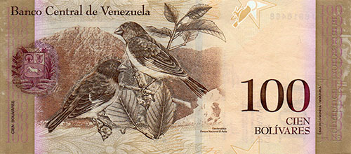 Diseño A, Tipo A. Fecha Enero 31 2012. Serie P8