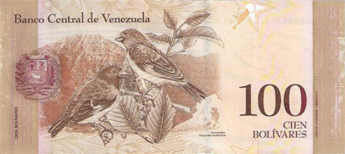 Diseño A, Tipo B. Fecha Diciembre 19 2008. Serie B8