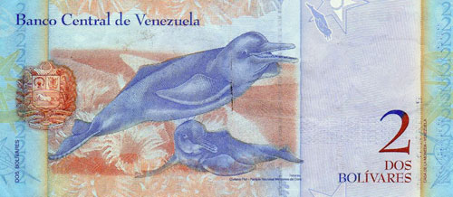 Design A, Type B. Date Diciembre 19 2008. Serie D8