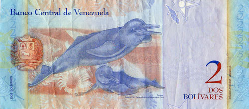 Diseño A, Tipo B. Fecha Diciembre 19 2008. Serie E8