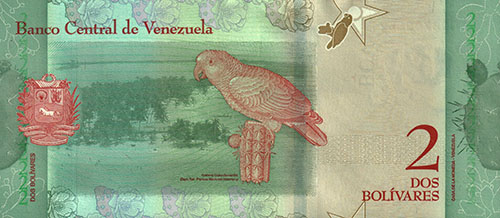 Design A, Type A. Date Enero 15 2018. Serie C8